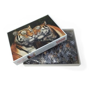 2022 Tigers Box
