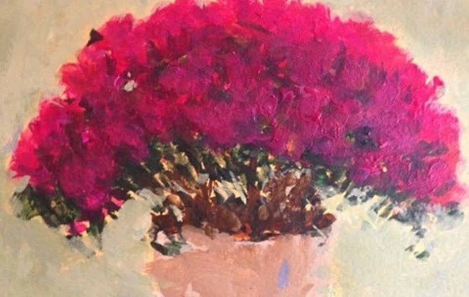 Potted Azalea