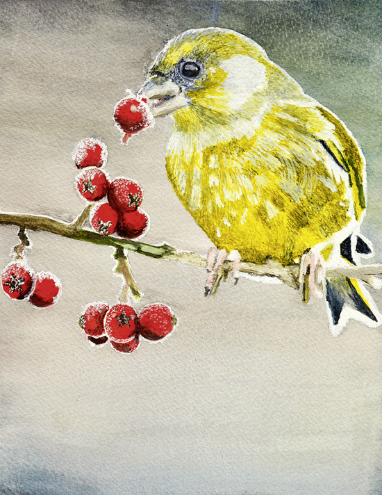Ann Hulme