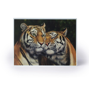2022 Tigers