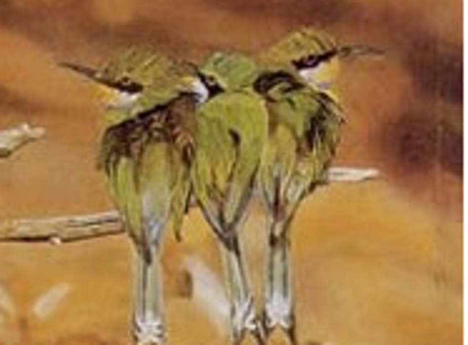 Image2