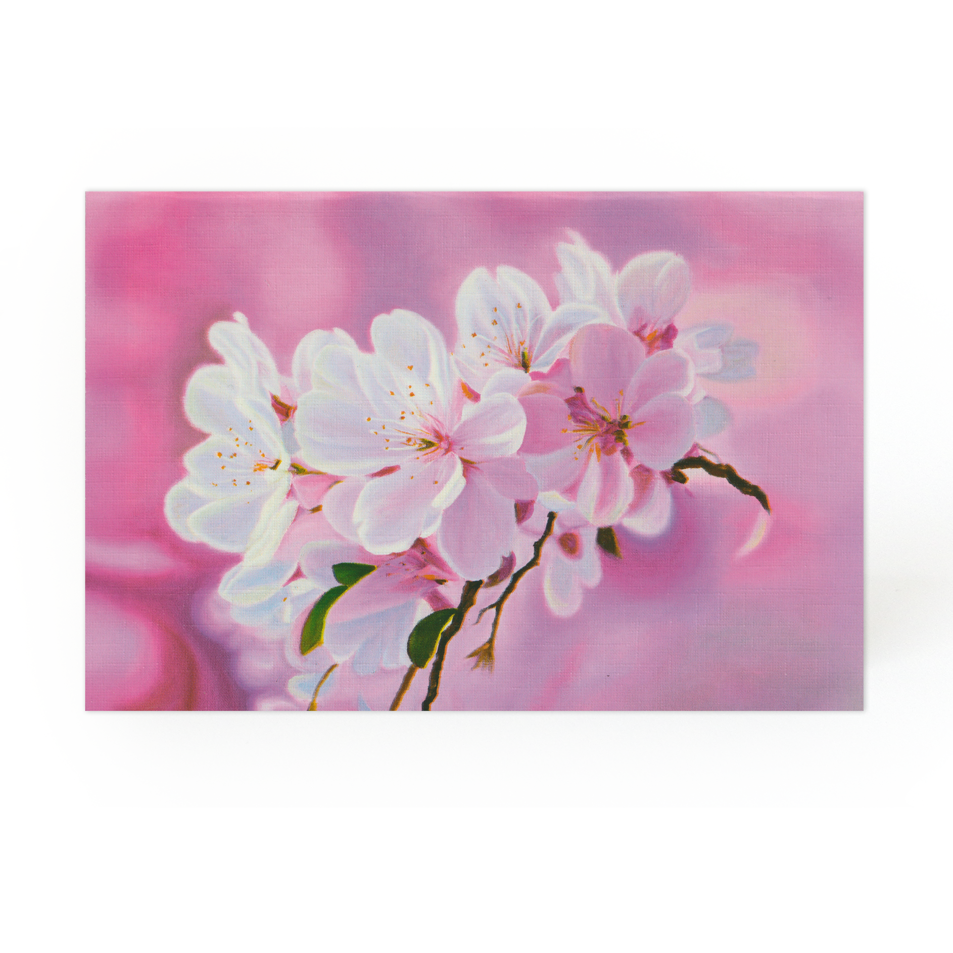 2026 Spring Cards 2601