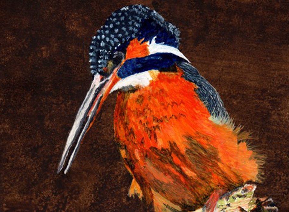 Kingsfisher136for Web