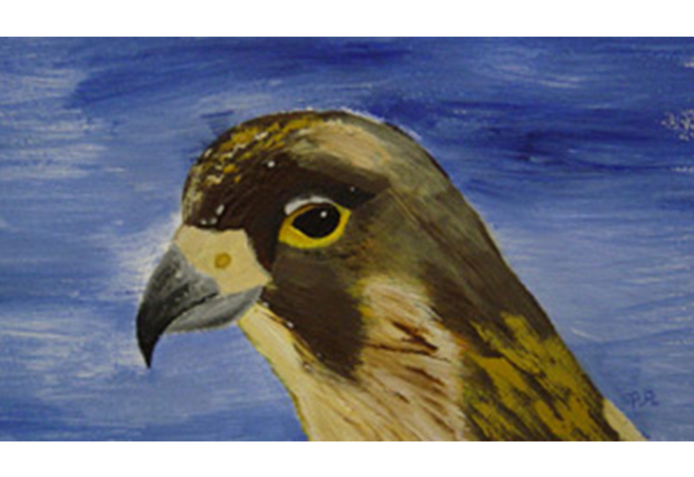 MFPA Eagle Pauline Angus