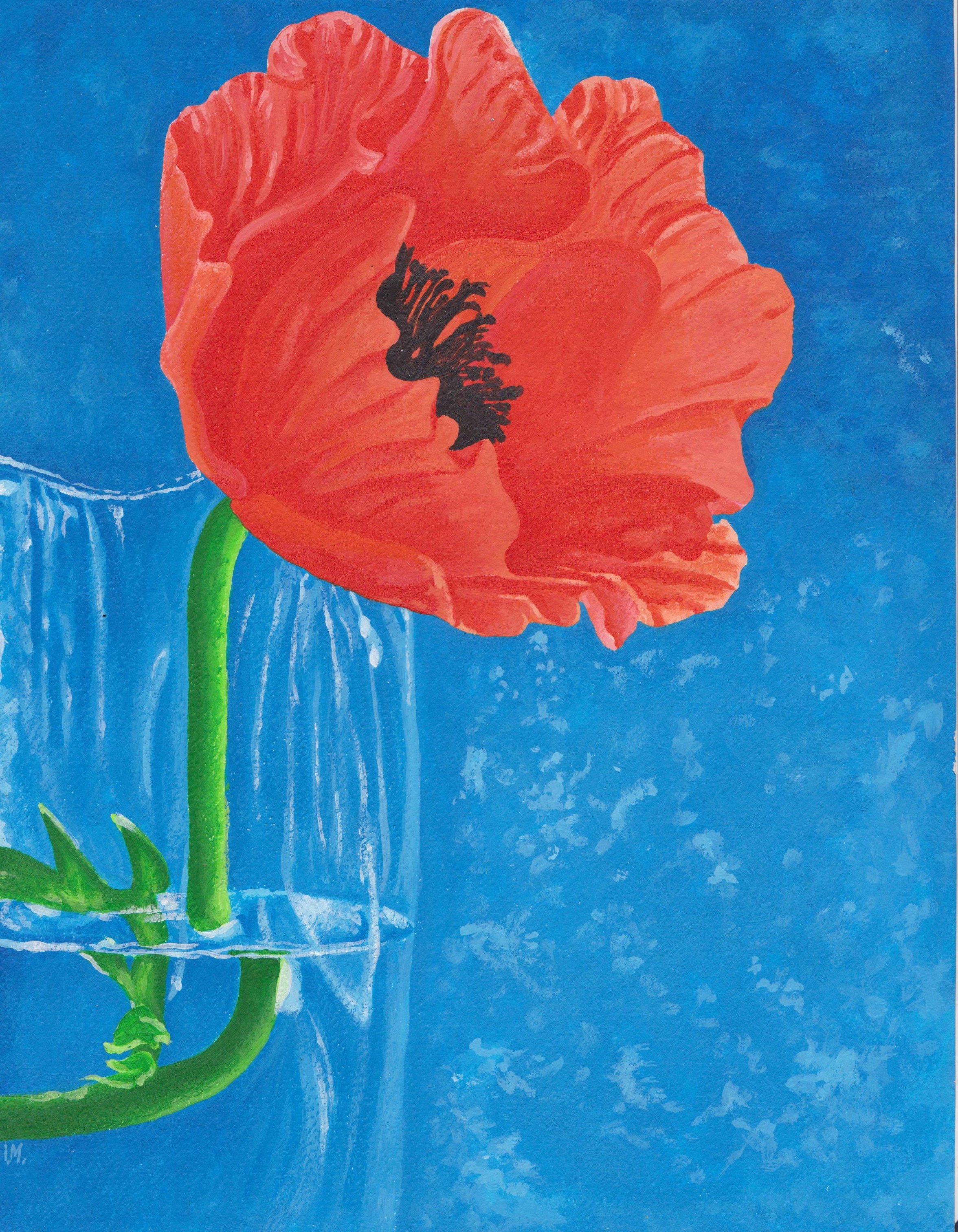 Poppy