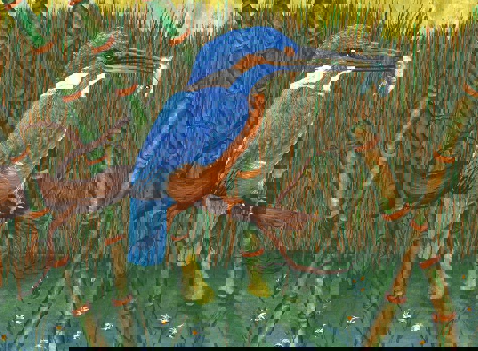 1962238 669539286440585 1590607624 O