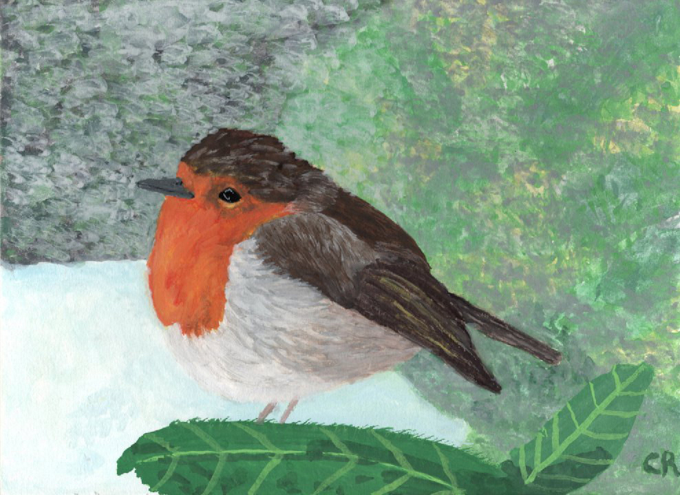 Robin