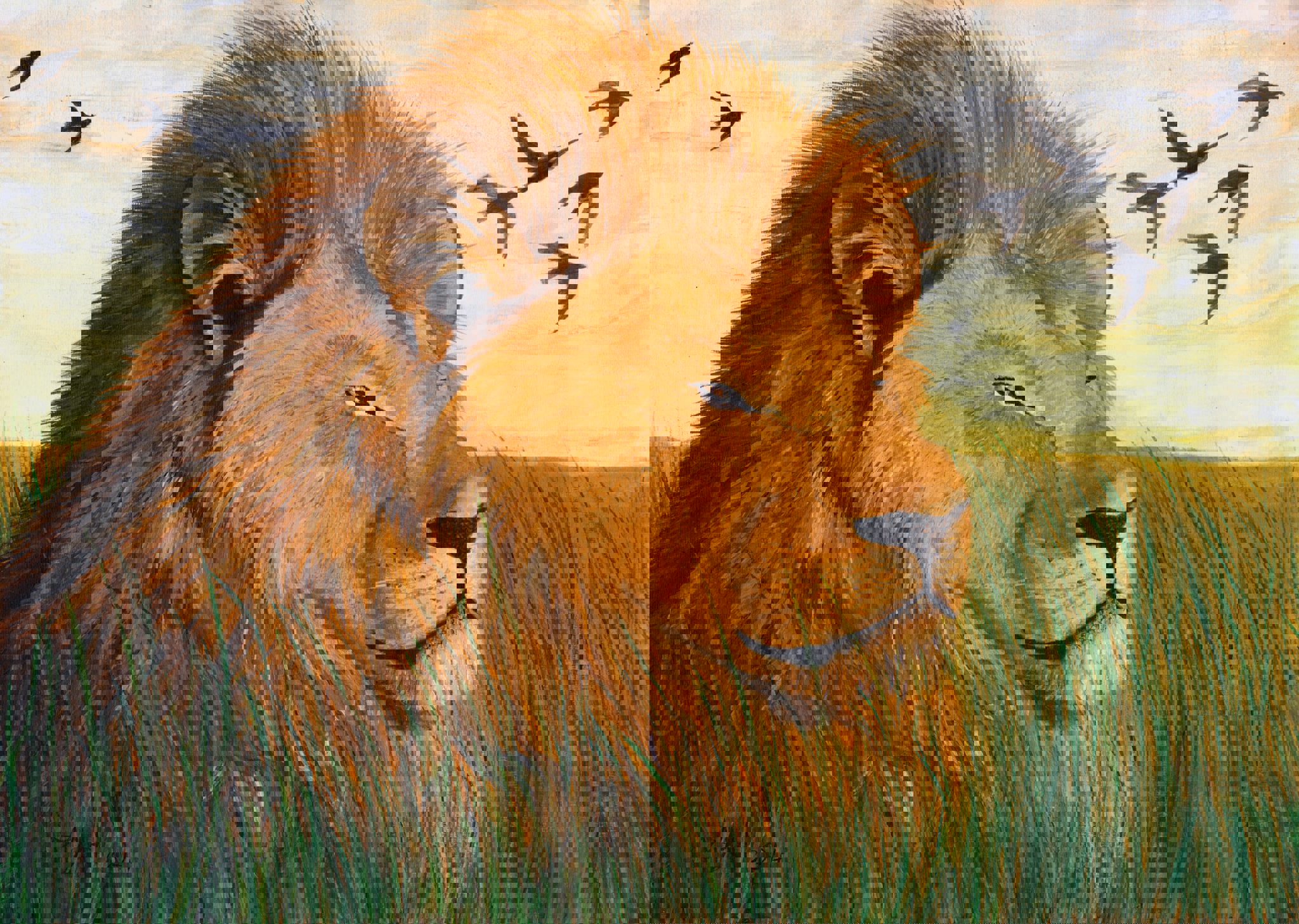 1491278 751625428231970 434149619932546834 O