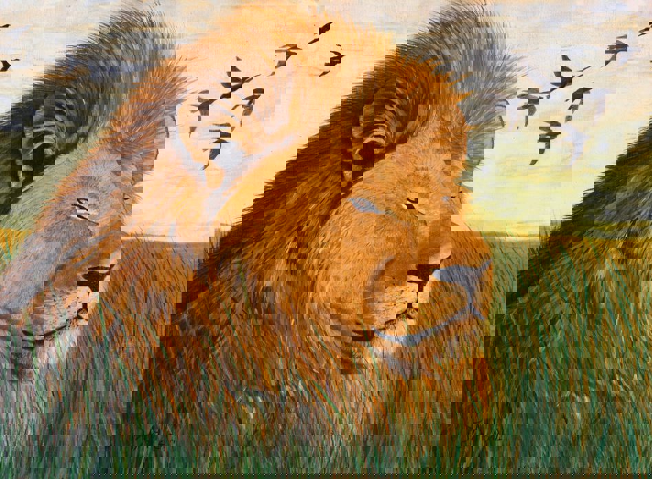 1491278 751625428231970 434149619932546834 O